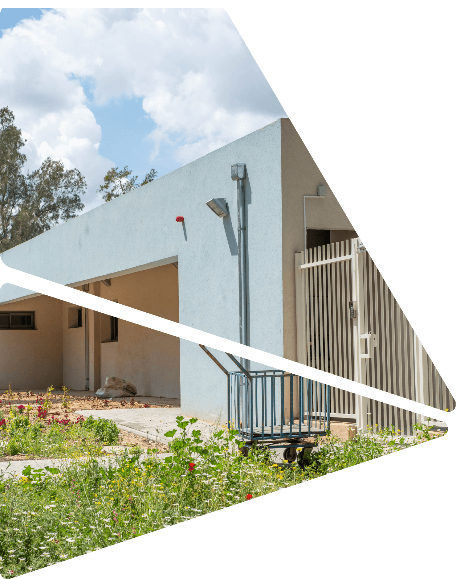 גן ילדים Kindergartens